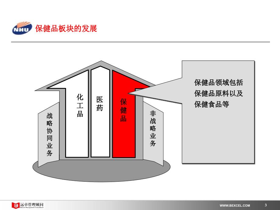 某公司保健品战略建议方案_第4页