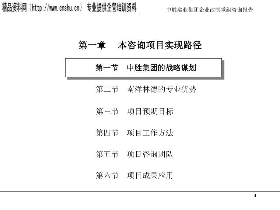 某企业改制重组咨询报告_第5页