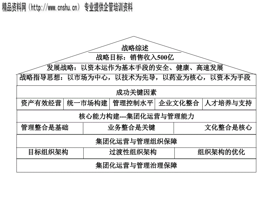 北京某药业公司集团化运作指导手册_第2页