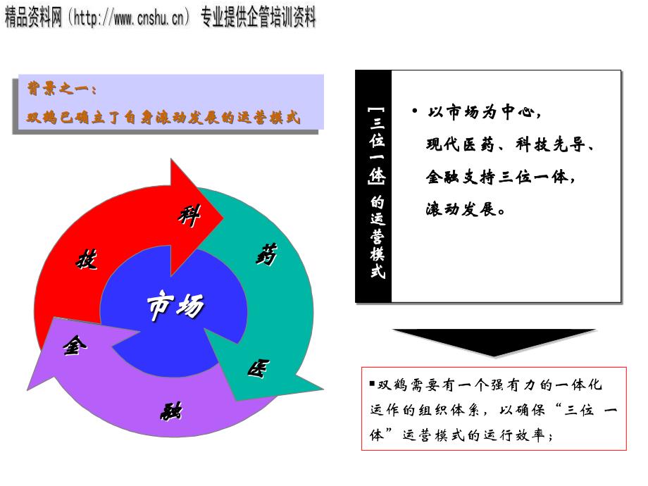 北京某药业公司集团化运作指导手册_第3页