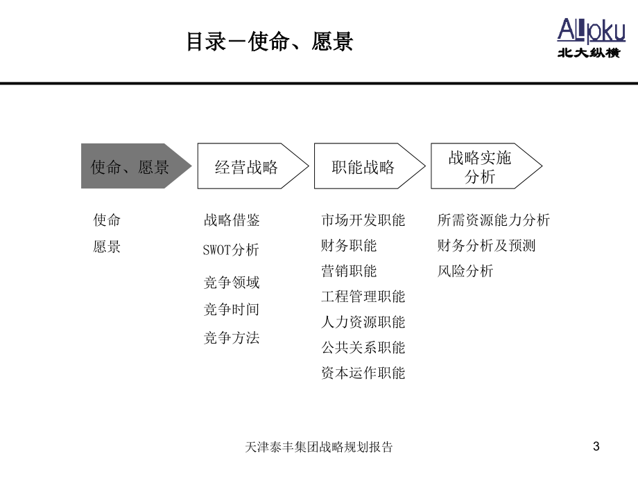 某公司总体发展战略报告_第3页