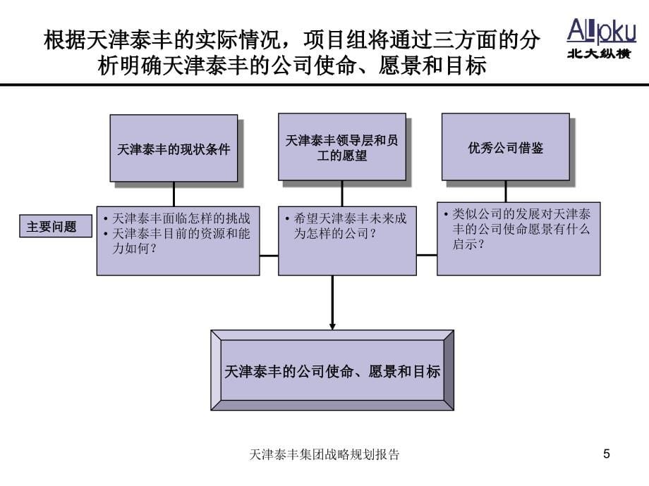 某公司总体发展战略报告_第5页