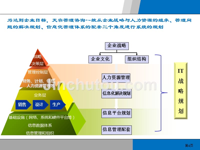 it战略规划项目书范本_第4页