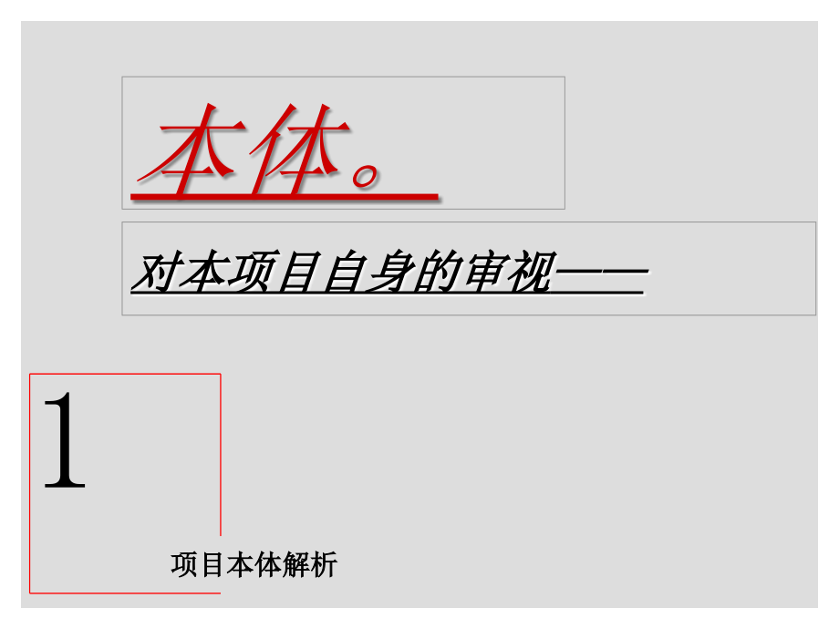 某项目整体定位报告沟通会_第3页