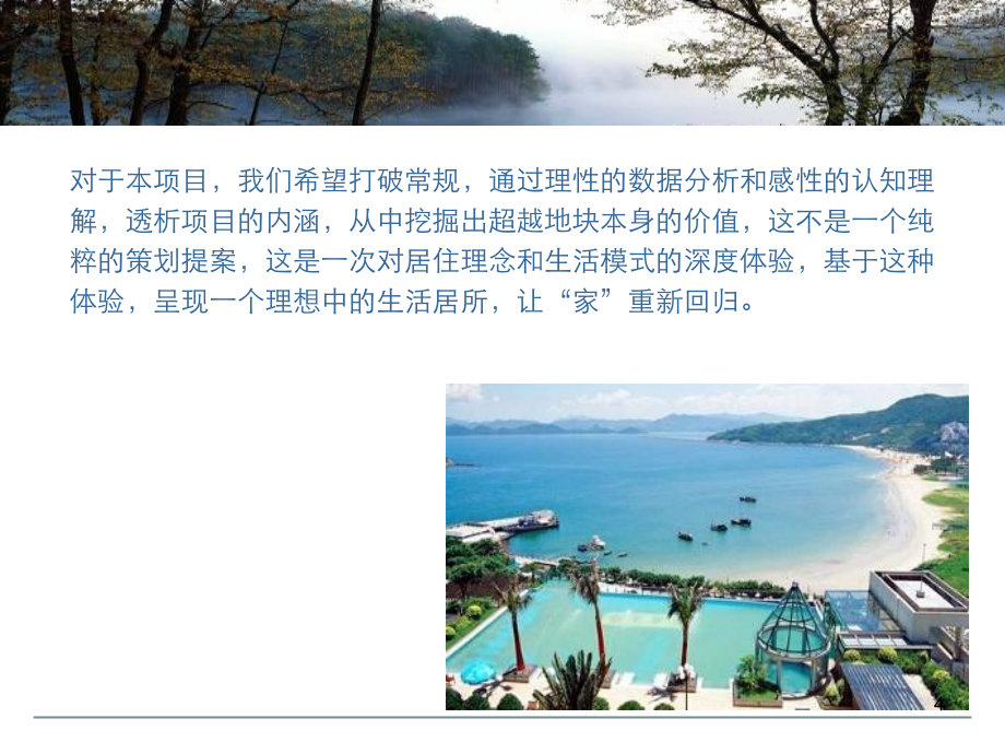 三盛南香湖项目概念性定位报告_第4页