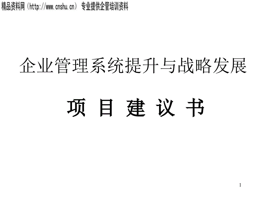 企业管理系统提升与战略发展项目策划_第1页