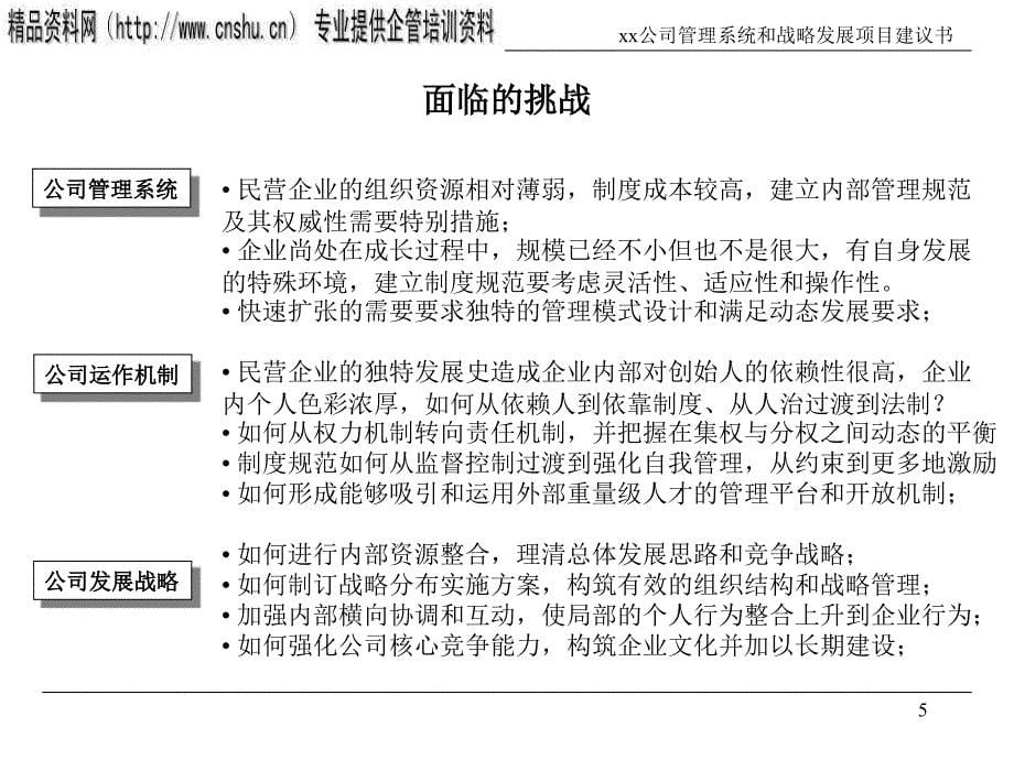 企业管理系统提升与战略发展项目策划_第5页