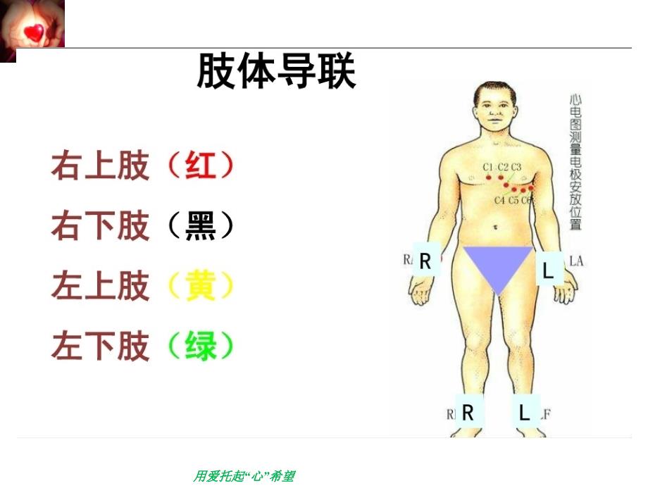 常见心律失常的识别与处理资料_第4页