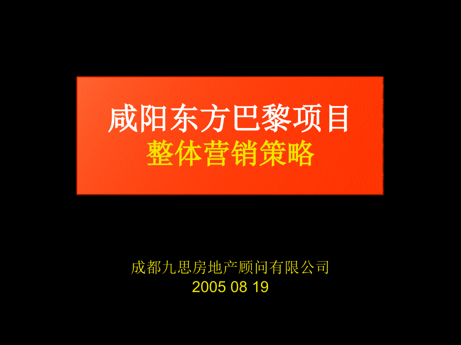 某房地产公司项目营销策略_第1页