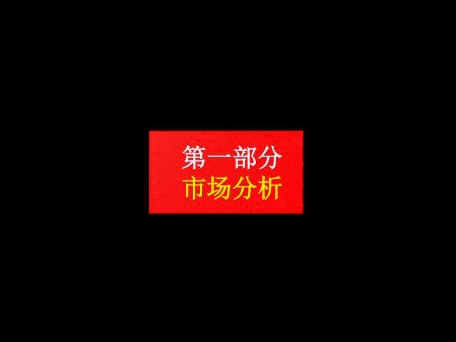 某房地产公司项目营销策略_第5页