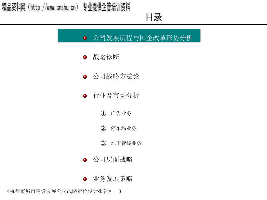 杭州某公司战略定位设计报告1_第3页