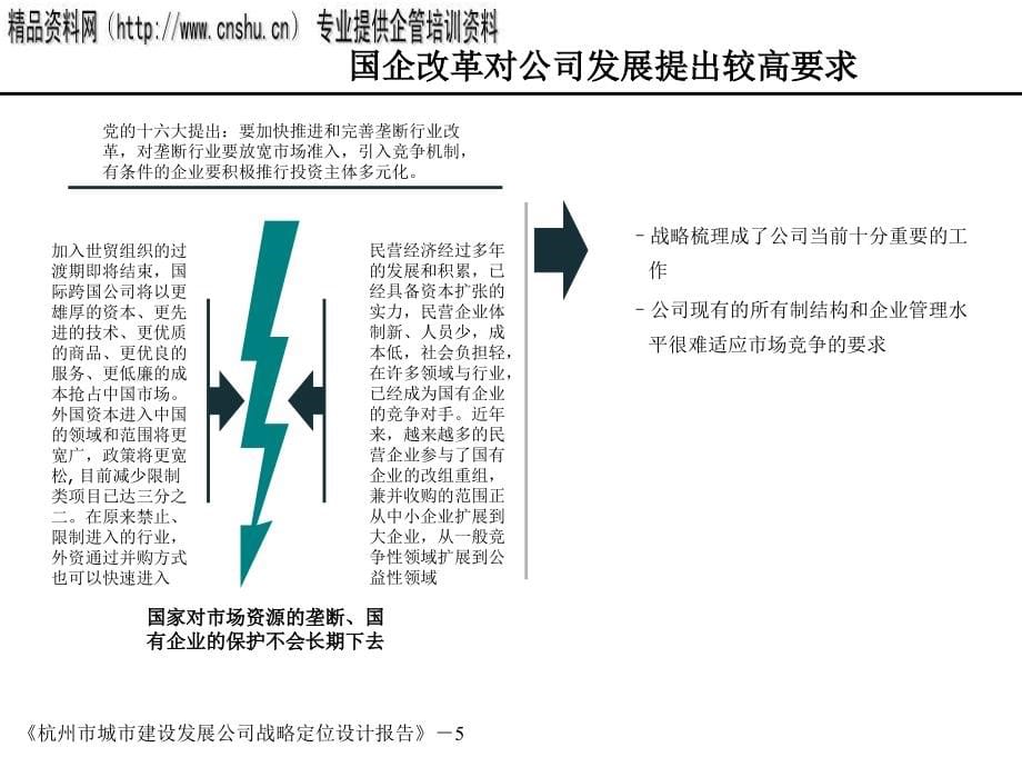 杭州某公司战略定位设计报告1_第5页
