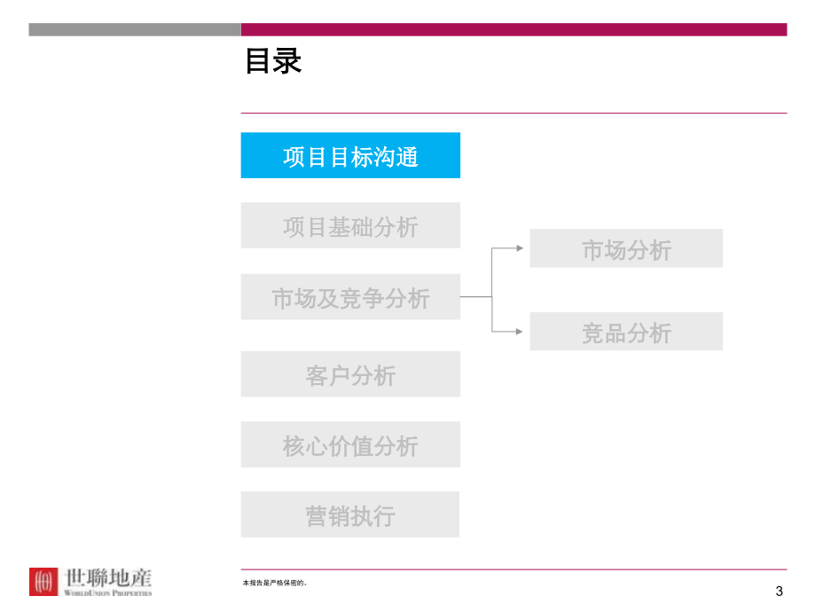 香榭丽都项目策略总纲及执行报告_第3页