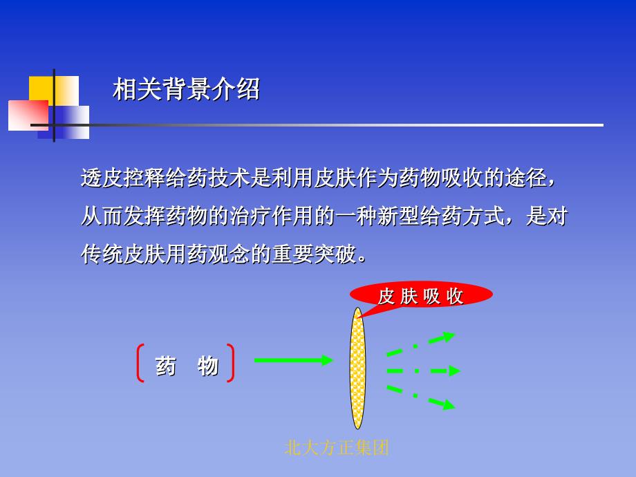 某集团-酮洛芬巴布剂项目_第4页