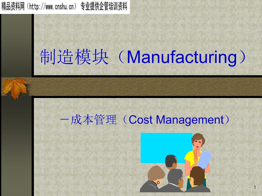 成本管理系统综合概述_第1页