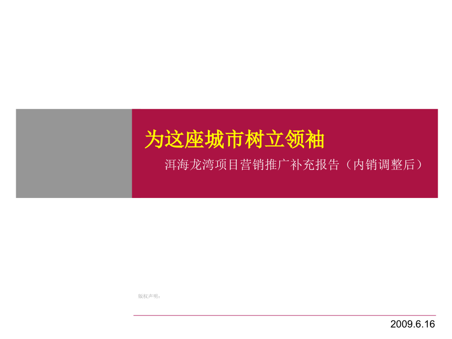 大理洱海龙湾项目管理及营销推广方案_第1页