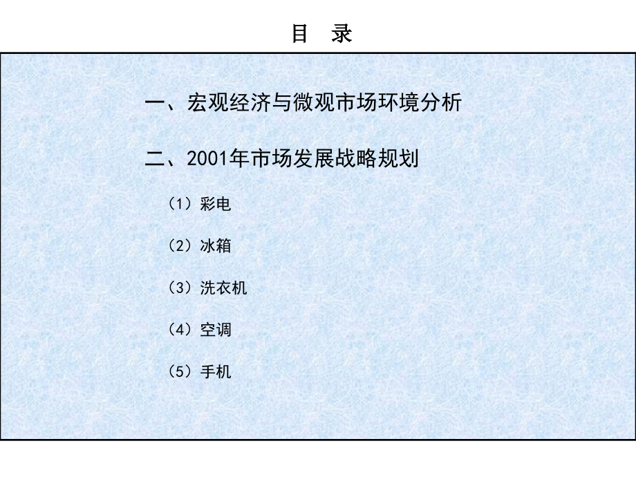 某某年海尔家电市场发展战略规划_第3页