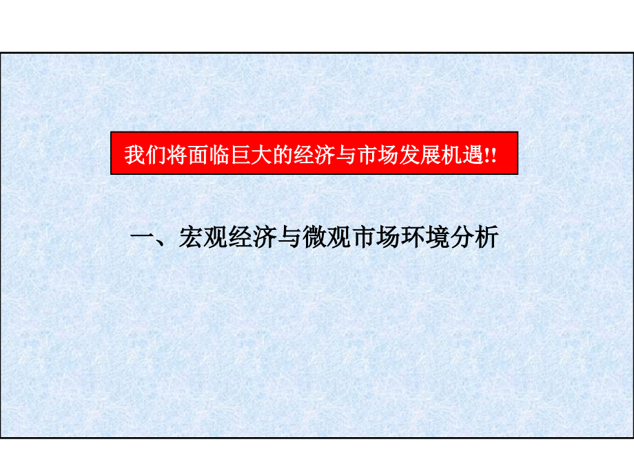 某某年海尔家电市场发展战略规划_第4页