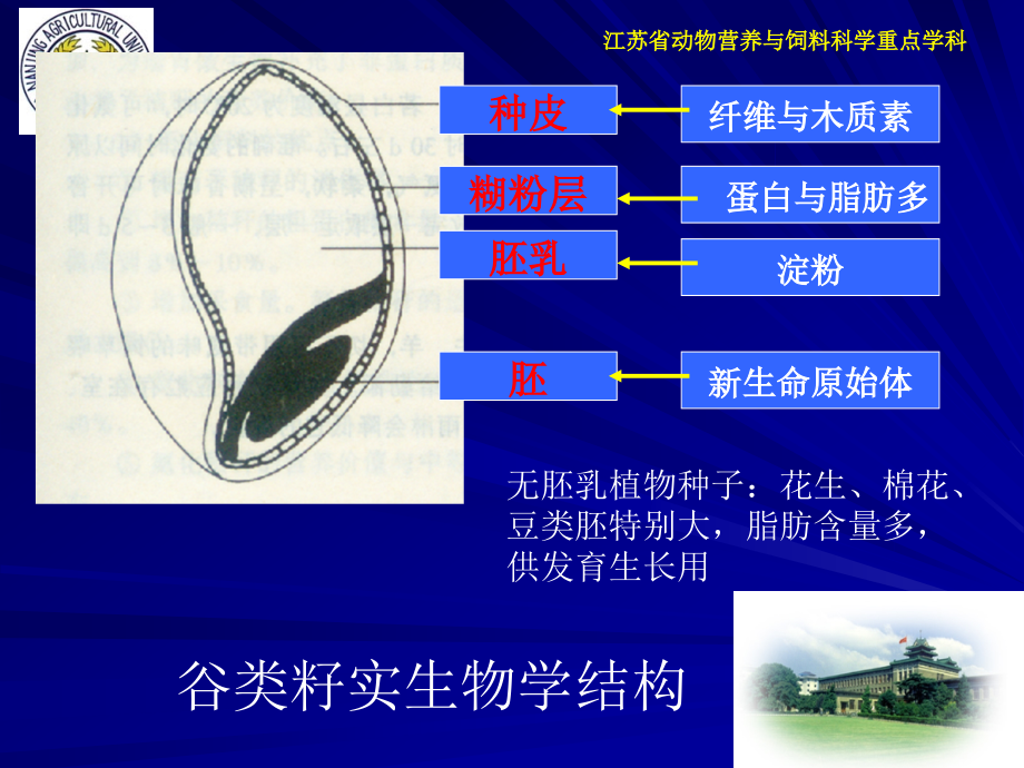 饲料学-南京农大_第4页