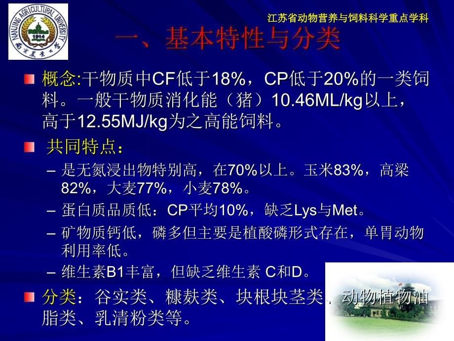 饲料学-南京农大_第5页