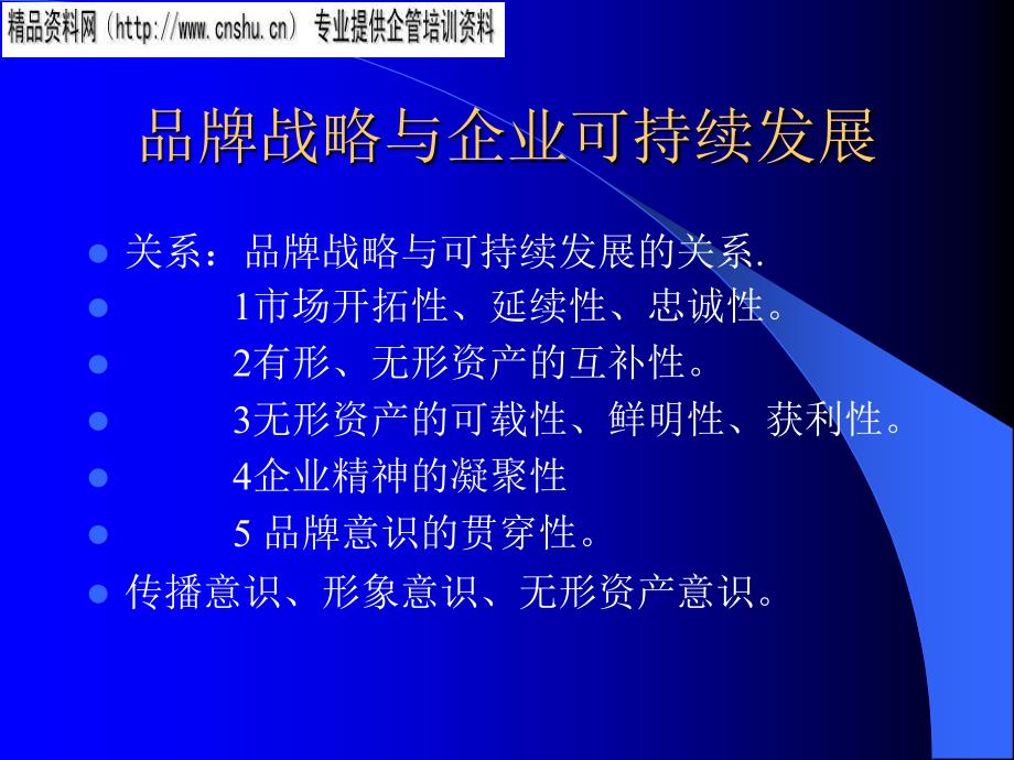 品牌营销及广告战略分析_第4页