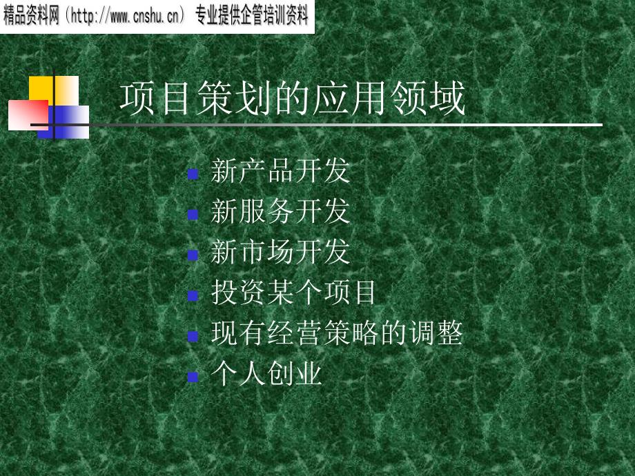 项目定位策划与发展策略_第2页