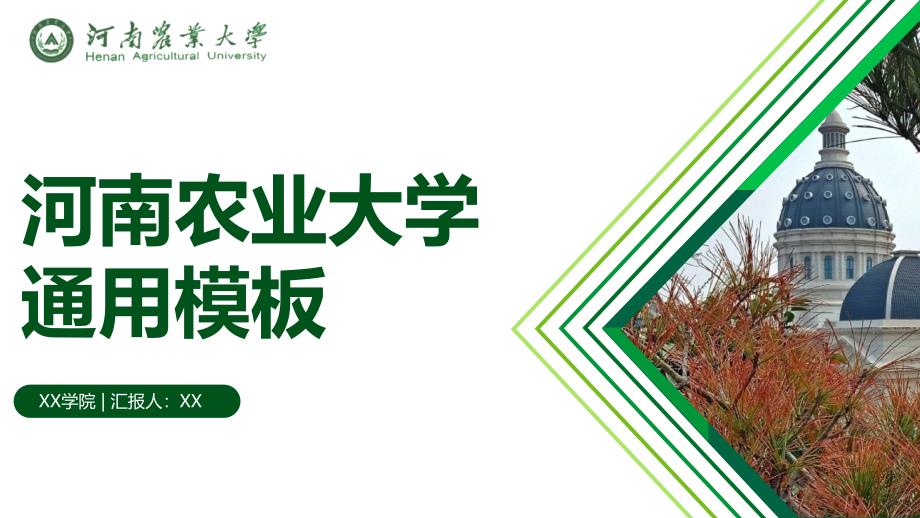 河南农业大学 -通用PPT模板_第3页