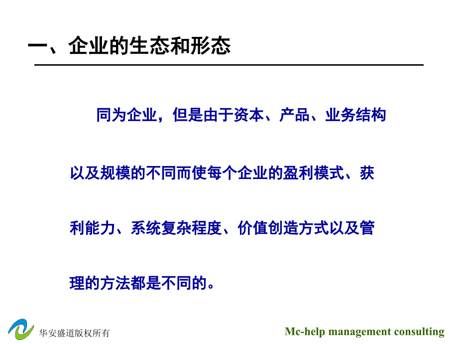 盛道管理咨询方法体系_第4页