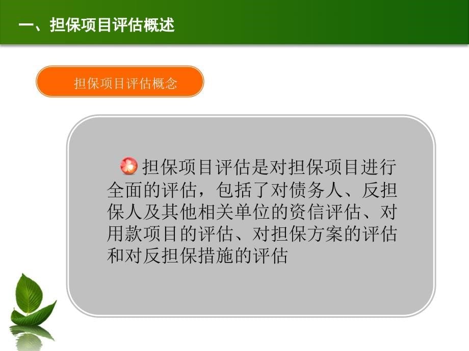 担保项目及反担保措施评估概论1_第5页