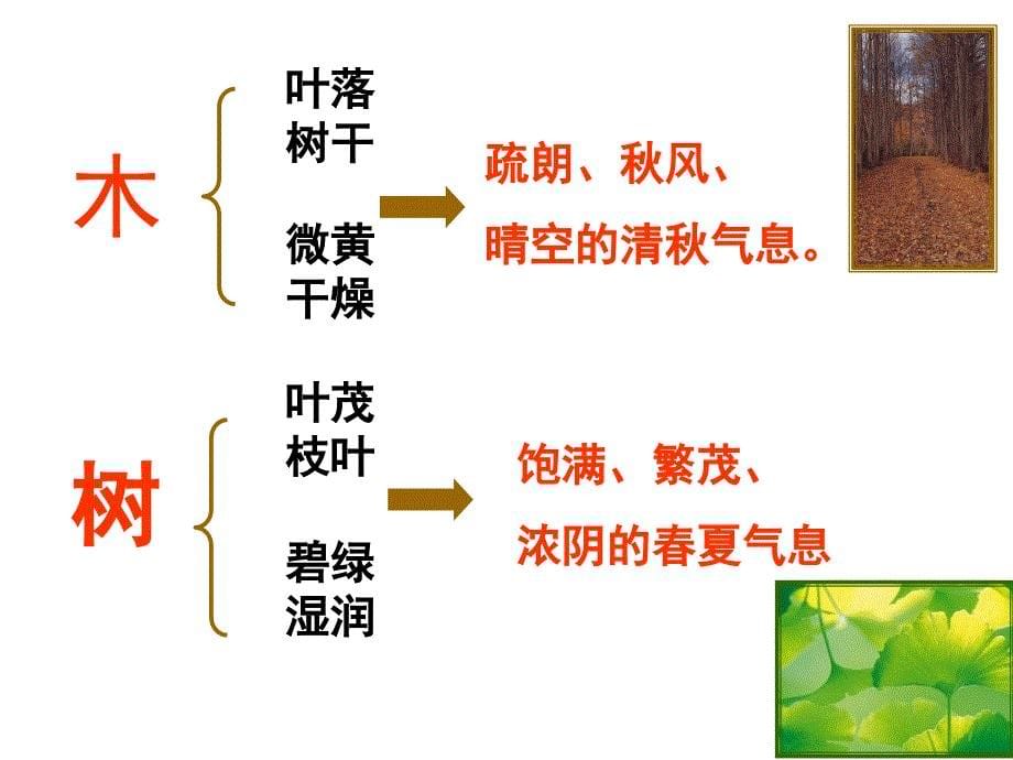 说木叶经典-_第5页