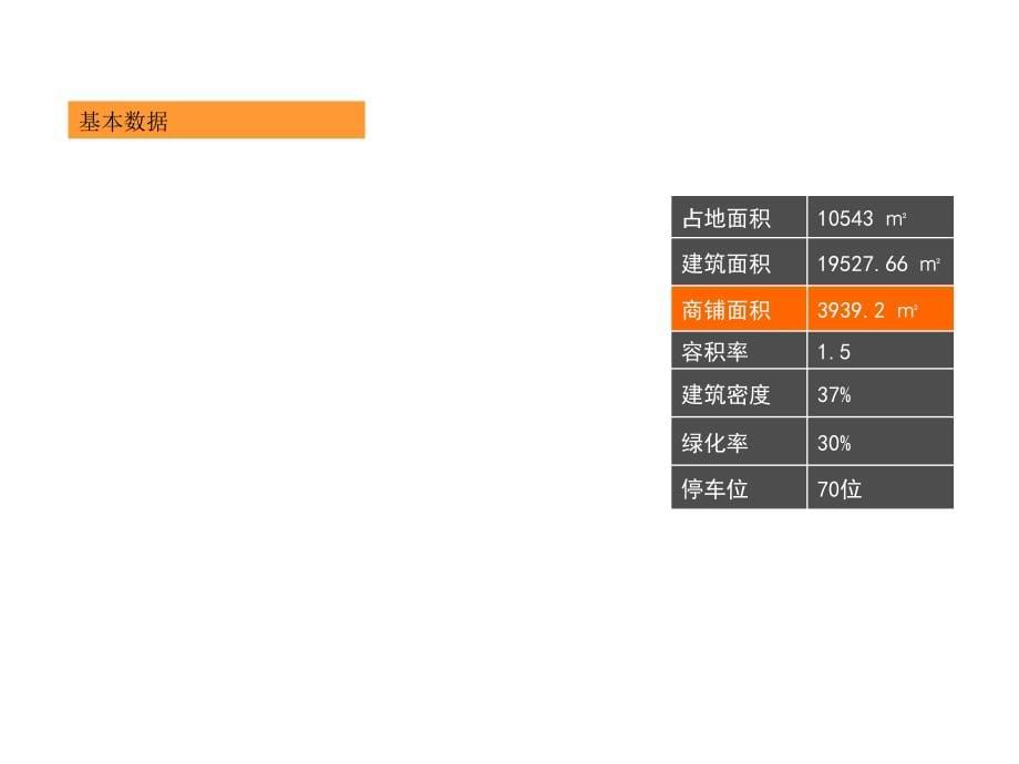 商业街项目策划方案_第5页