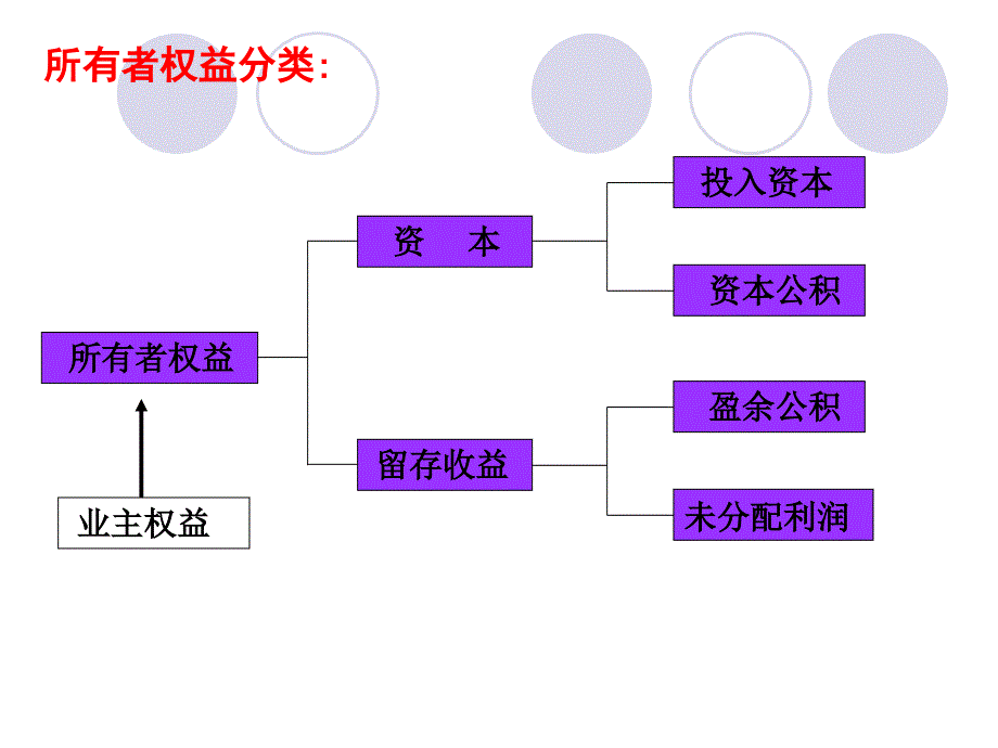 所有者权益性质及其内部控制_第4页