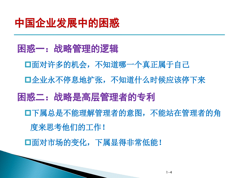 企业战略管理培训课件8_第4页