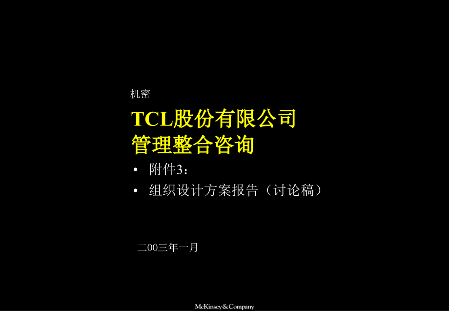 tcl公司组织设计方案报告书_第1页