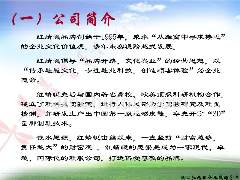 某企业战略汇报_第4页