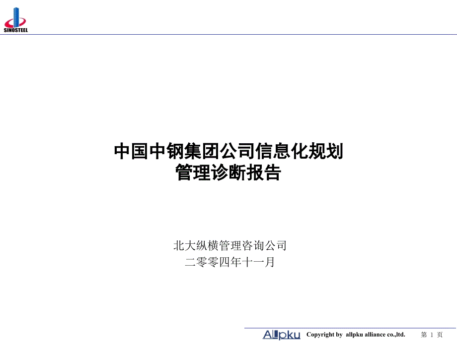 中钢集团项目诊断报告终稿_第1页