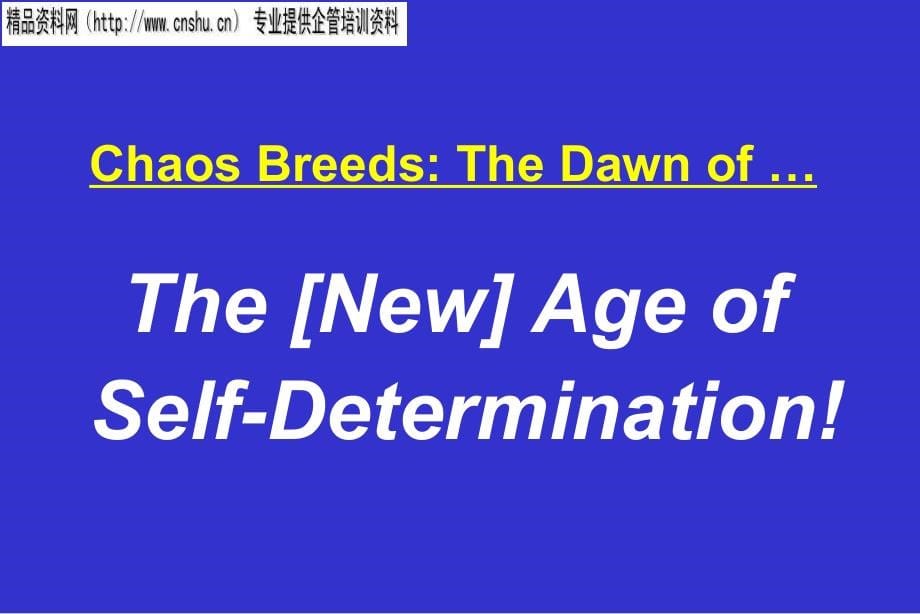 embracing an age of self-determination（英文版）_第5页