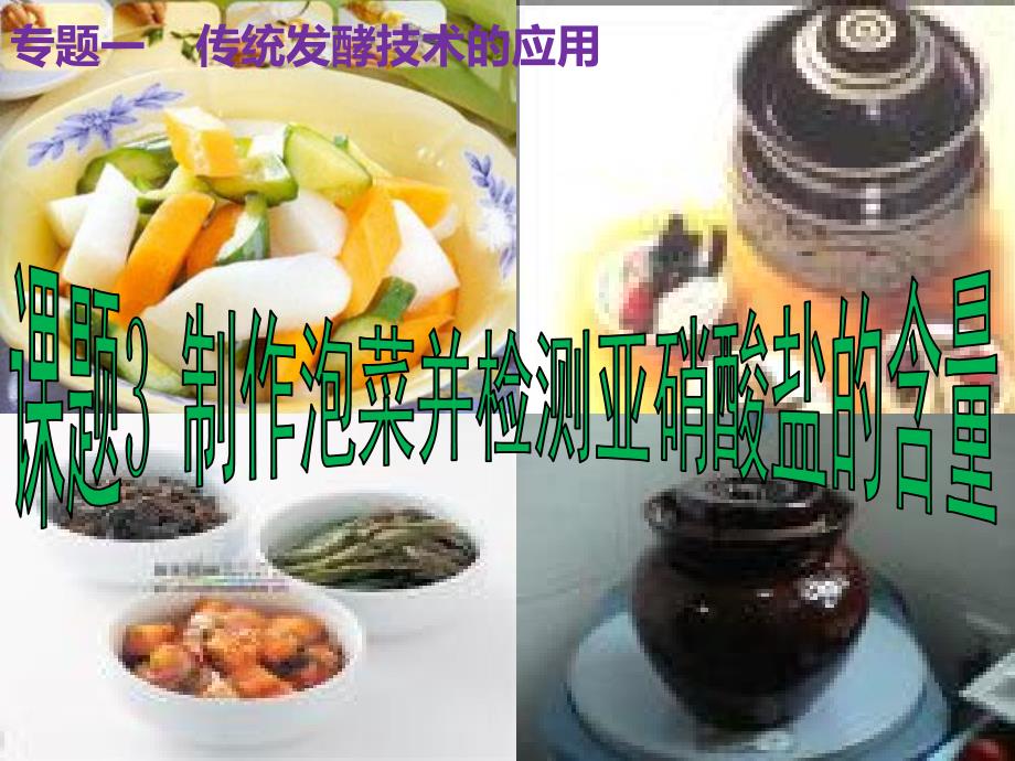 制作泡菜并测定泡菜中亚硝酸盐含量资料_第1页