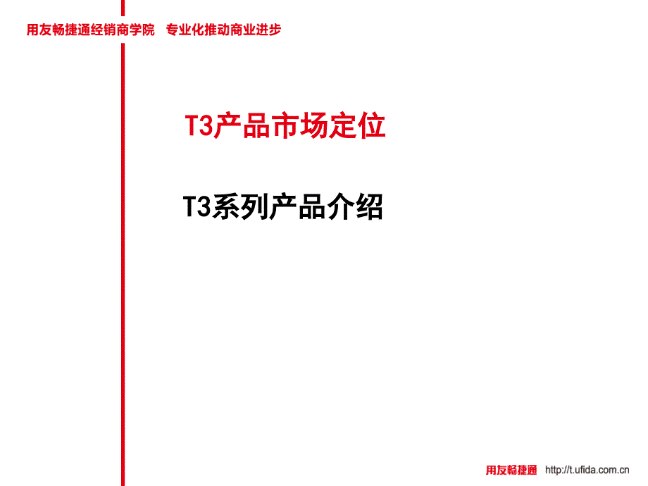 t3产品市场定位及系列产品_第2页