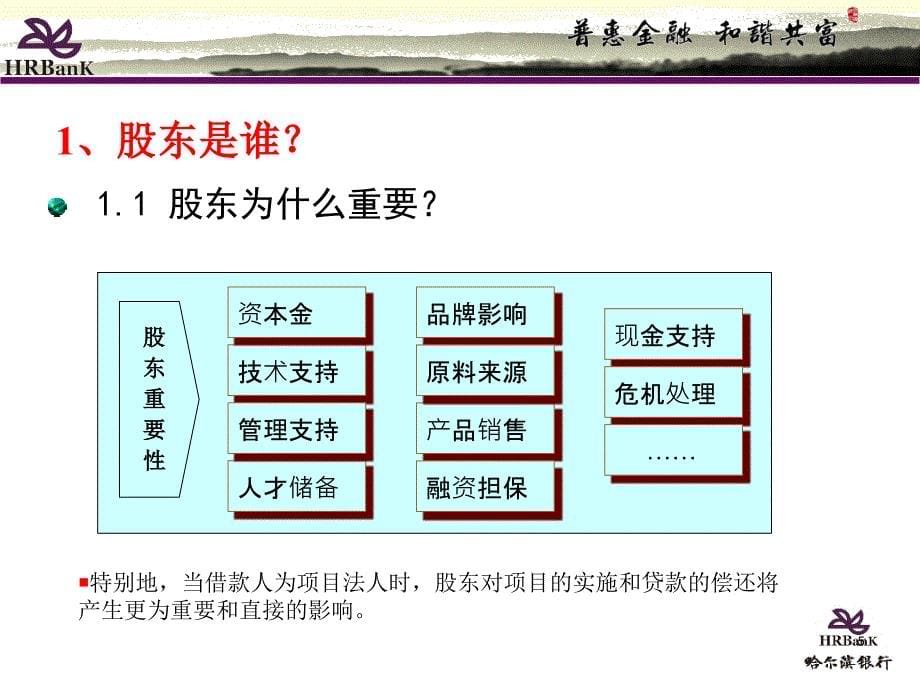 某项目融资风险评价要点概论_第5页