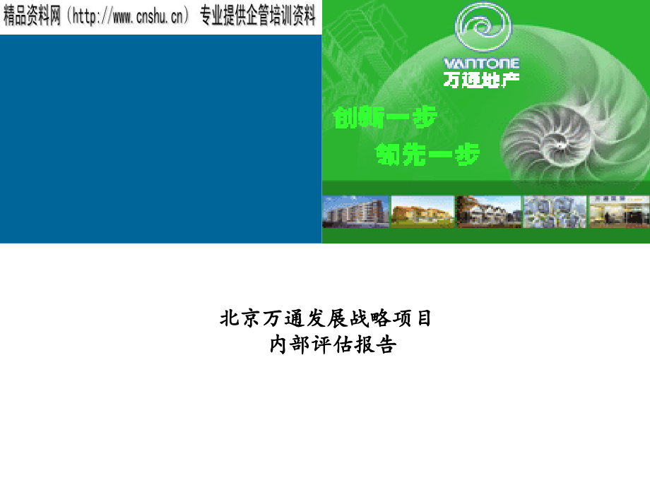 某地产发展战略项目内部评估报告_第1页