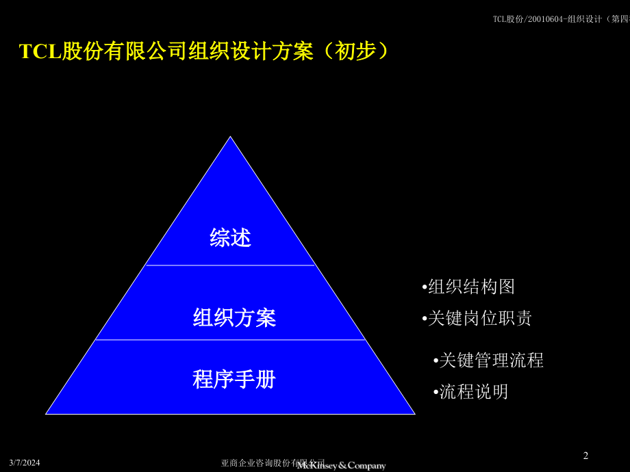 tcl股份有限公司组织结构设计_第2页