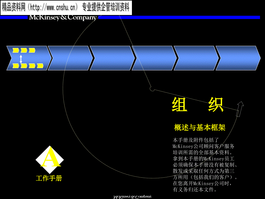 组织基本框架概述_第1页