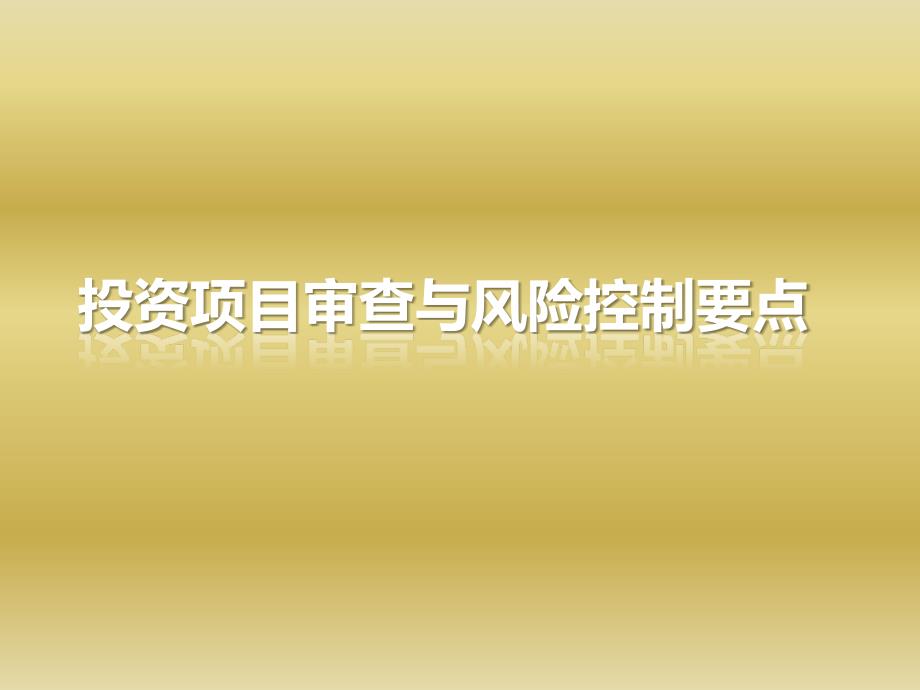 投资项目审查与风险控制要点资料_第1页