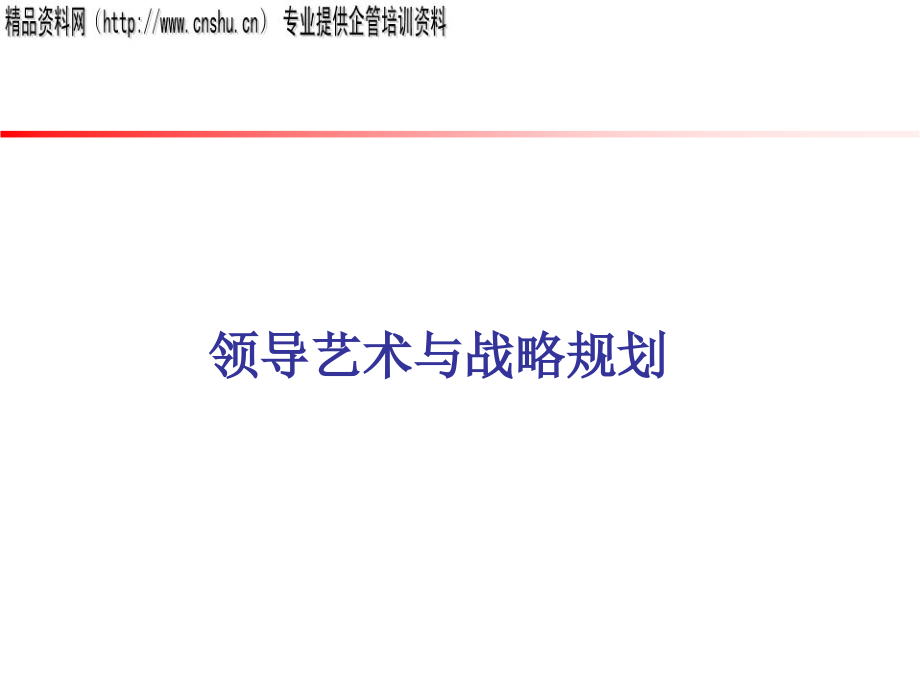 领导艺术模型与战略规划_第1页