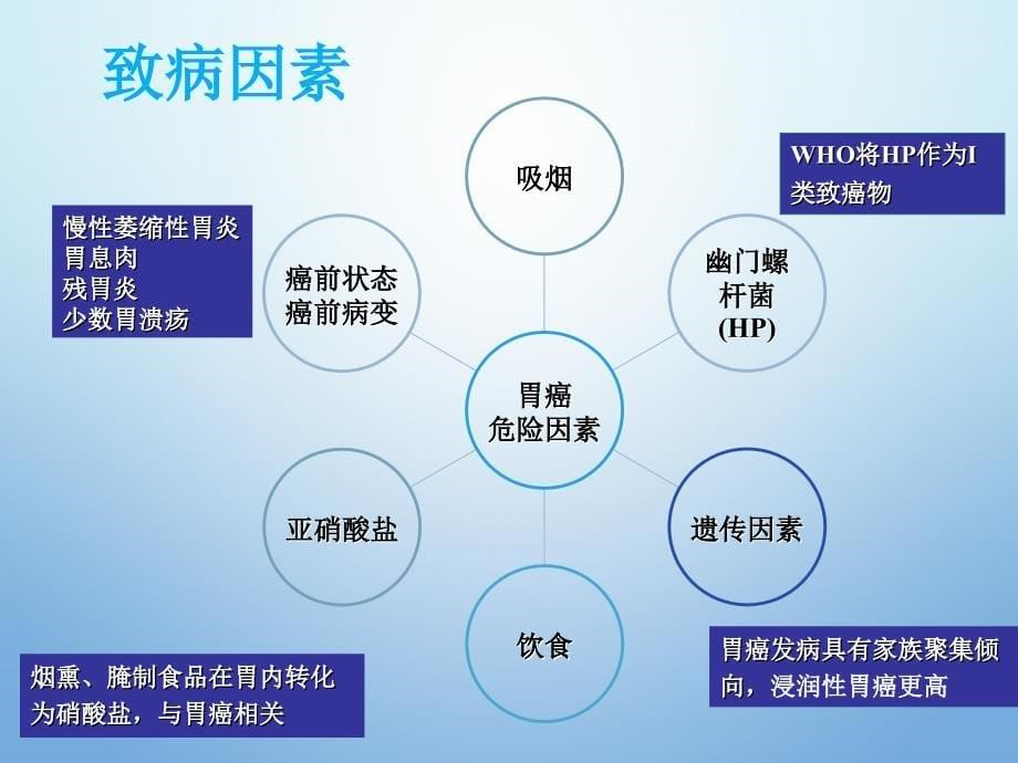 胃癌 正式讲解.ppt_第5页