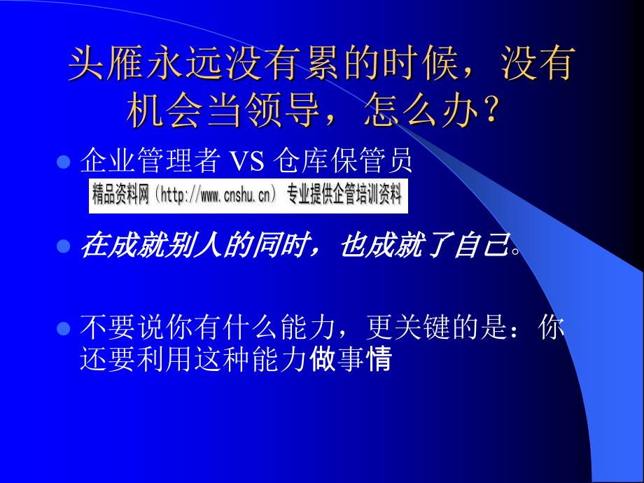 企业文化之大雁精神与成功哲学_第3页