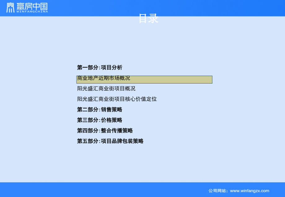 某商业街全程营销执行大纲_第3页