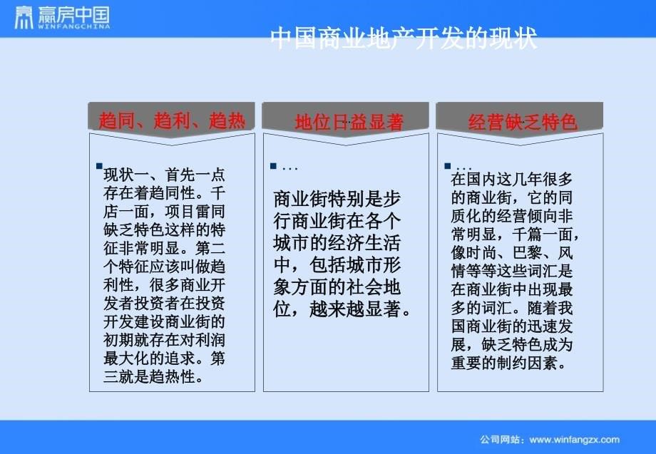 某商业街全程营销执行大纲_第5页