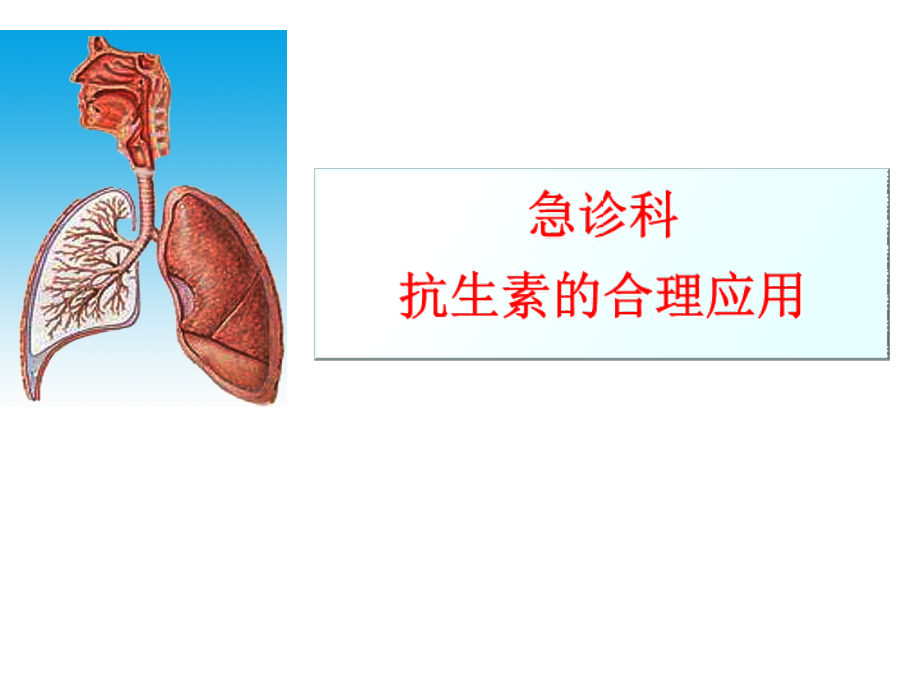 抗生素的合理应用(急诊科)_第1页